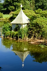 241DSC_5440