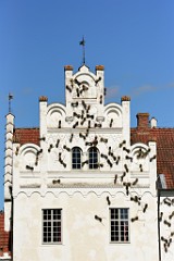 243DSC_5443