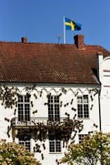245DSC_5445