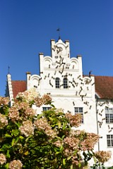 251DSC_5451