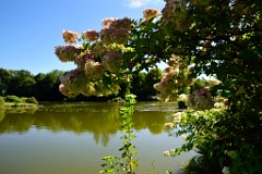 252DSC_5454