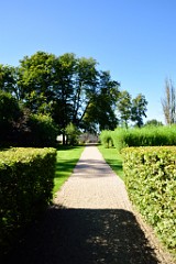 257DSC_5459