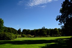 258DSC_5460