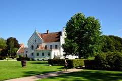 259DSC_5461