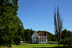 260DSC_5462