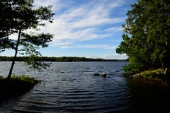 289DSC_5513