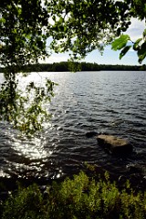 291DSC_5515