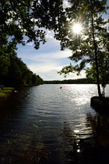 293DSC_5518