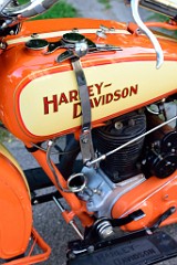 37DSC_5040