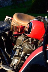 97DSC_5138
