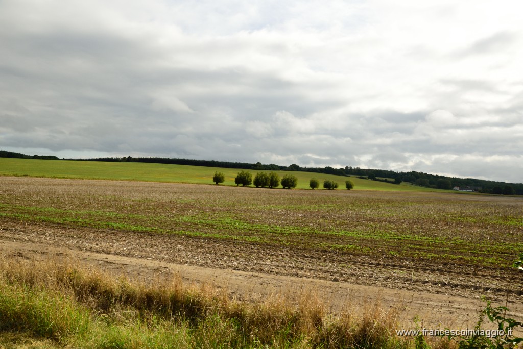 24DSC_5899.JPG