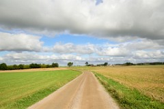 150DSC_6179