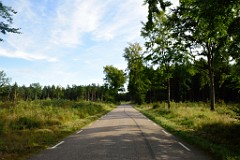 63DSC_6040