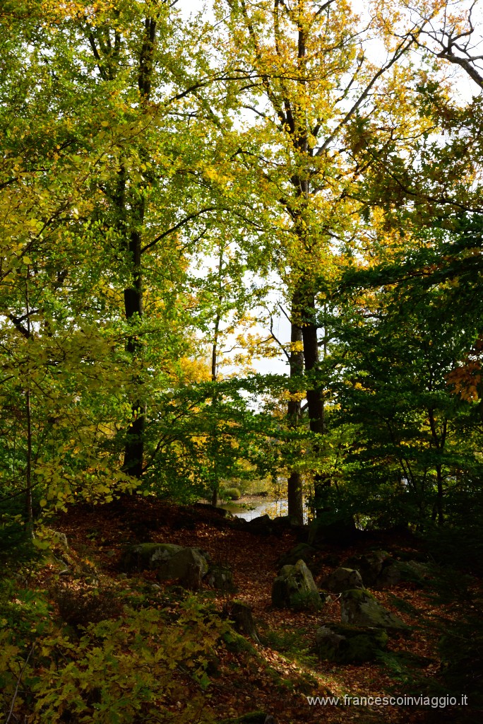 153DSC_7651.JPG