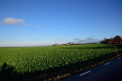 5DSC_8719