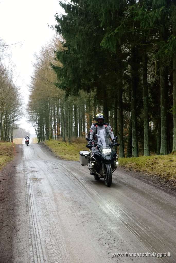 31DSC_4582.JPG