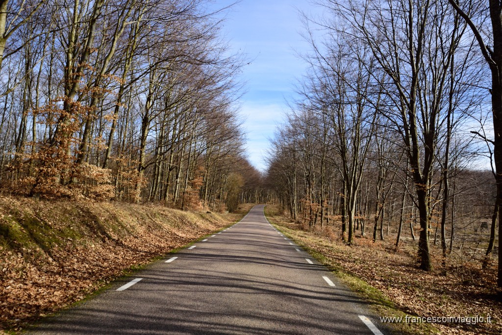 DSC_5961.JPG