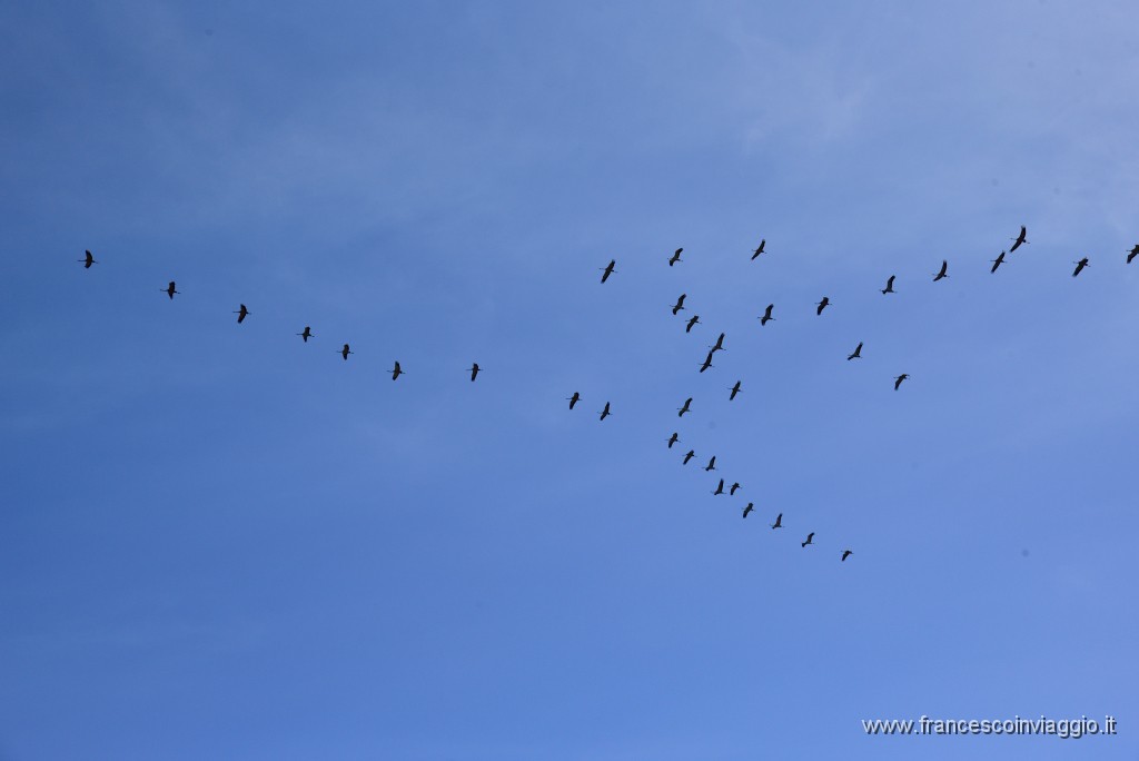 DSC_6115.JPG