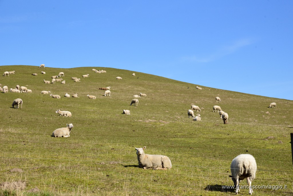 DSC_6143.JPG