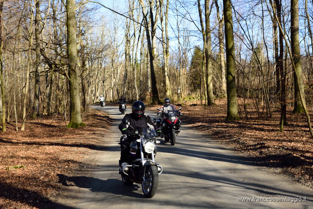 DSC_6281.JPG