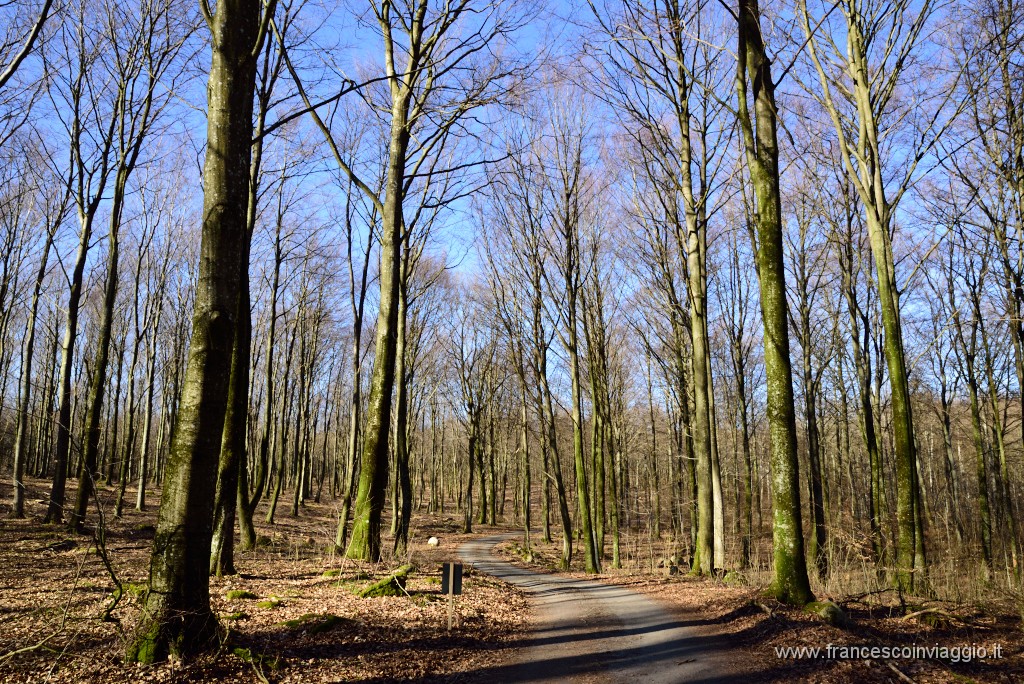 DSC_6343.JPG