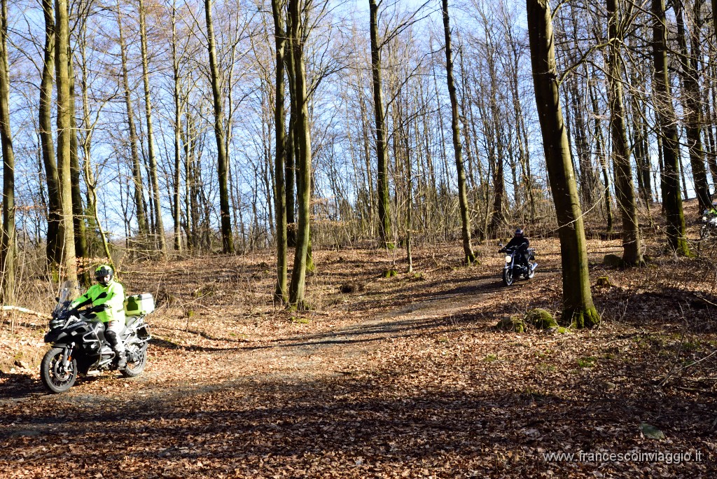 DSC_6364.JPG