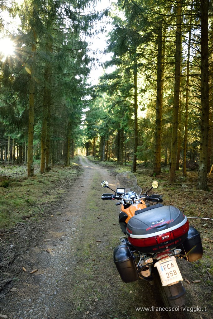 DSC_6375.JPG