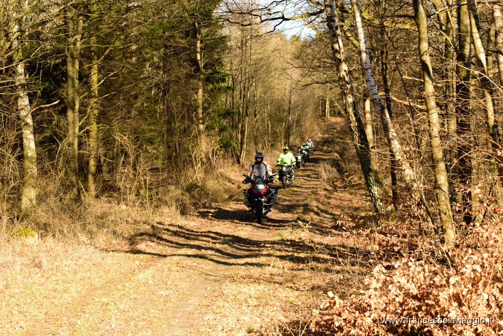 DSC_6390.JPG