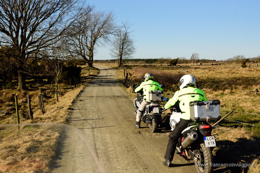 DSC_6421.JPG