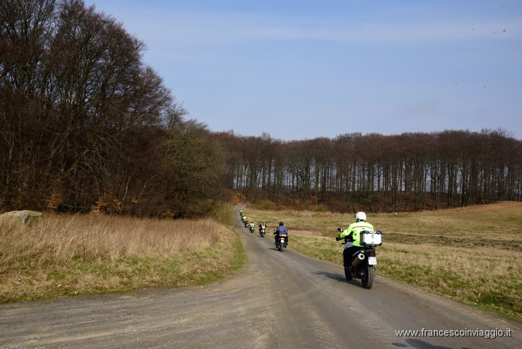 DSC_6545.JPG