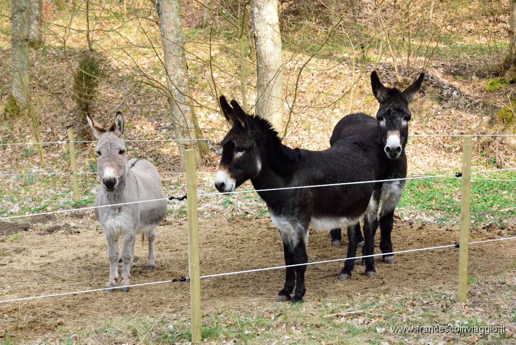 DSC_6620.JPG