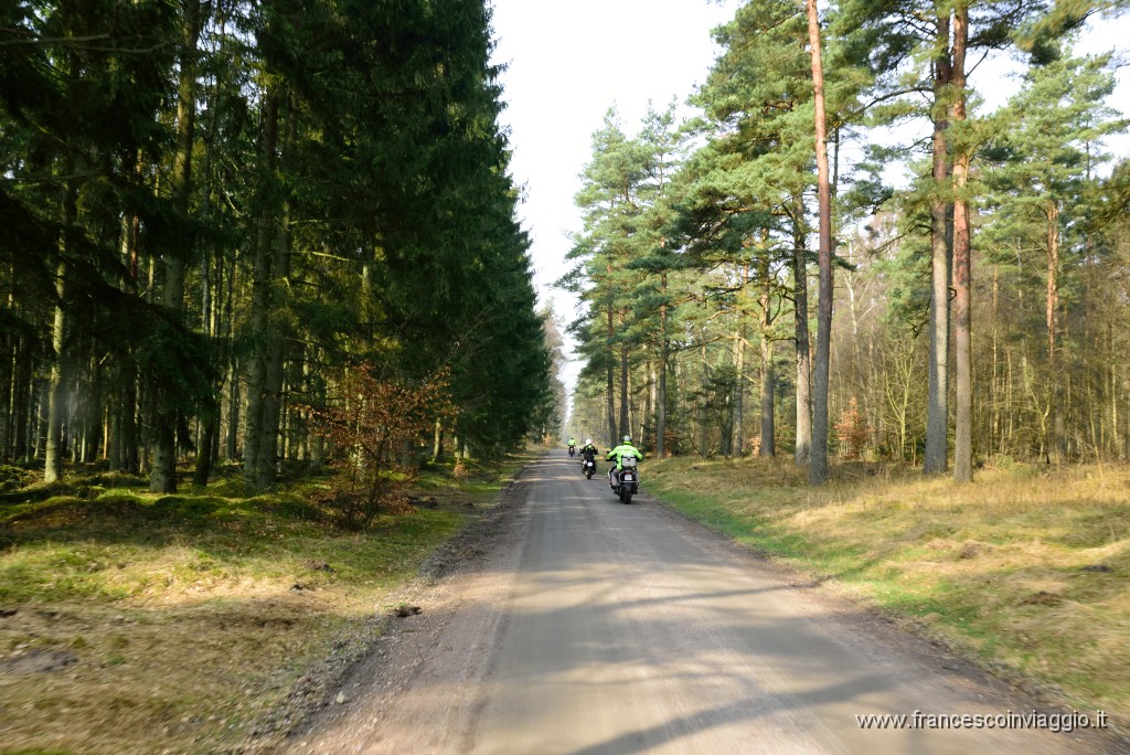 DSC_6663.JPG