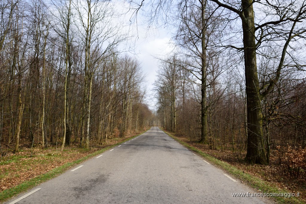 DSC_6807.JPG