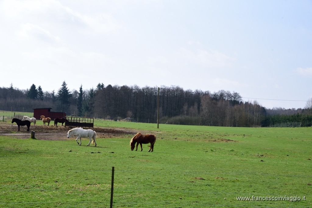 DSC_6964.JPG