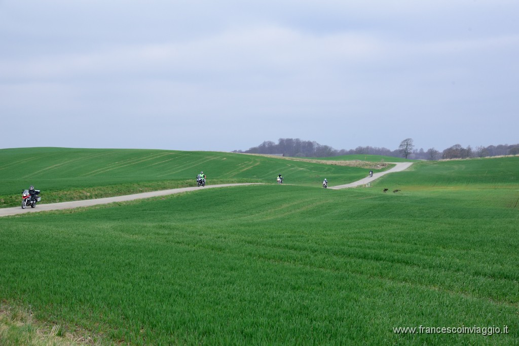 DSC_6996.JPG