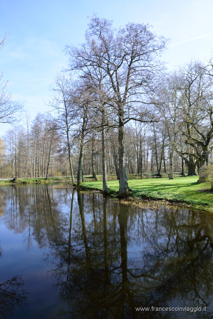 DSC_7313.JPG