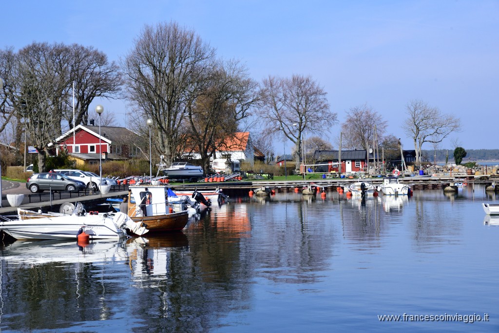 DSC_7343.JPG