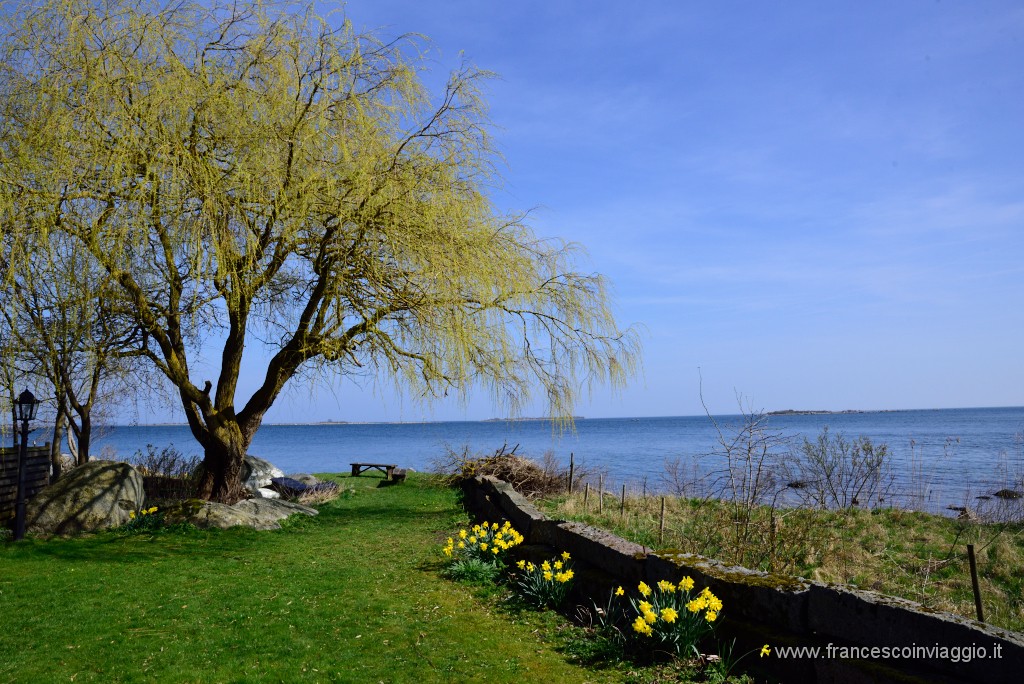 DSC_7346.JPG