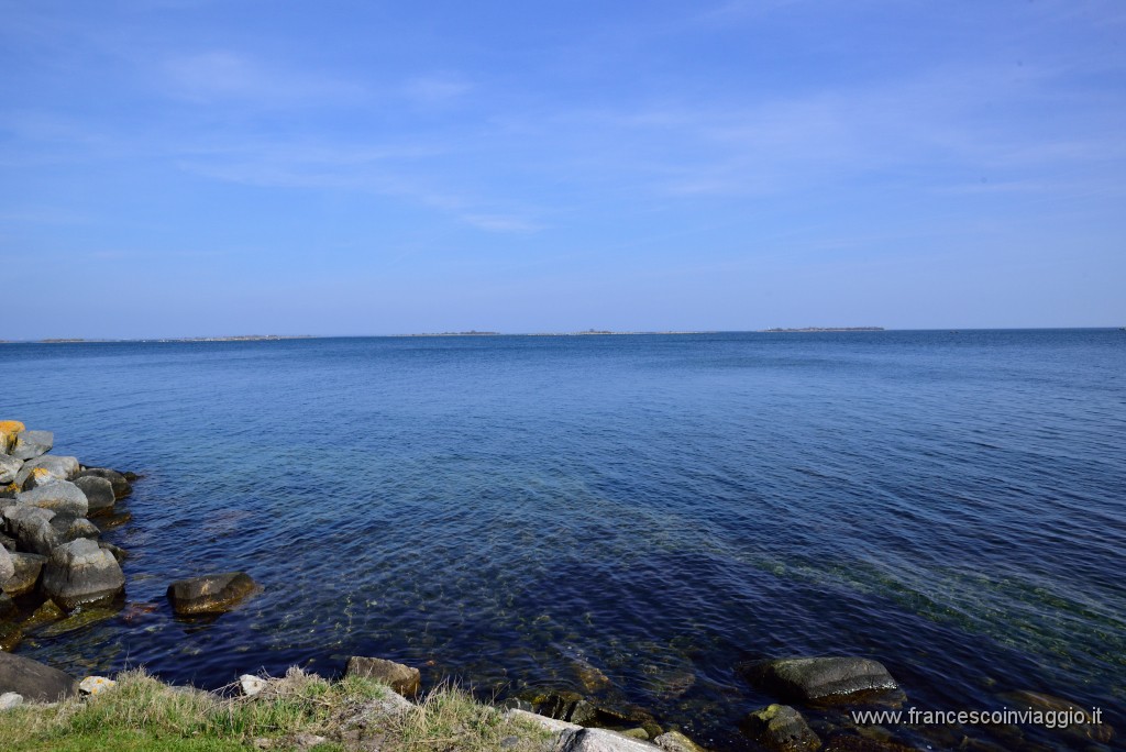 DSC_7349.JPG