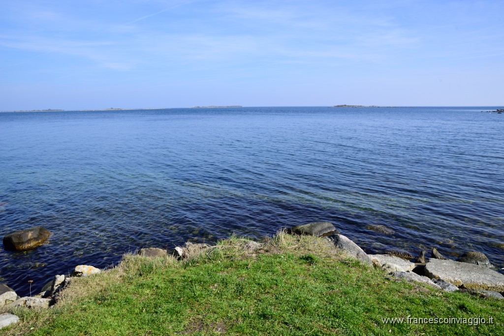 DSC_7368.JPG