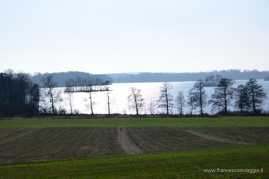 DSC_7490.JPG
