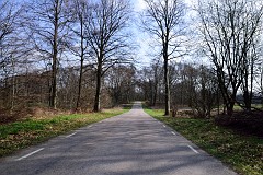 DSC_6956