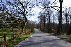 DSC_6959