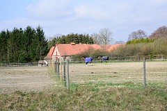 DSC_6963