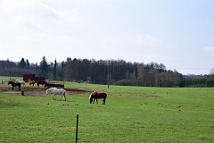 DSC_6964