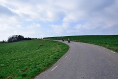 DSC_6970