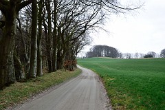 DSC_6971