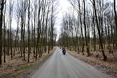 DSC_6974