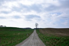 DSC_6992