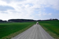 DSC_6993